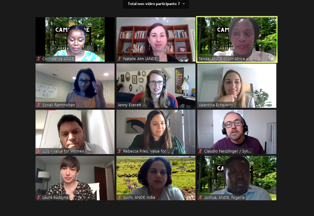 Six Things We Learned From Our First Virtual Annual Conference - ANDE