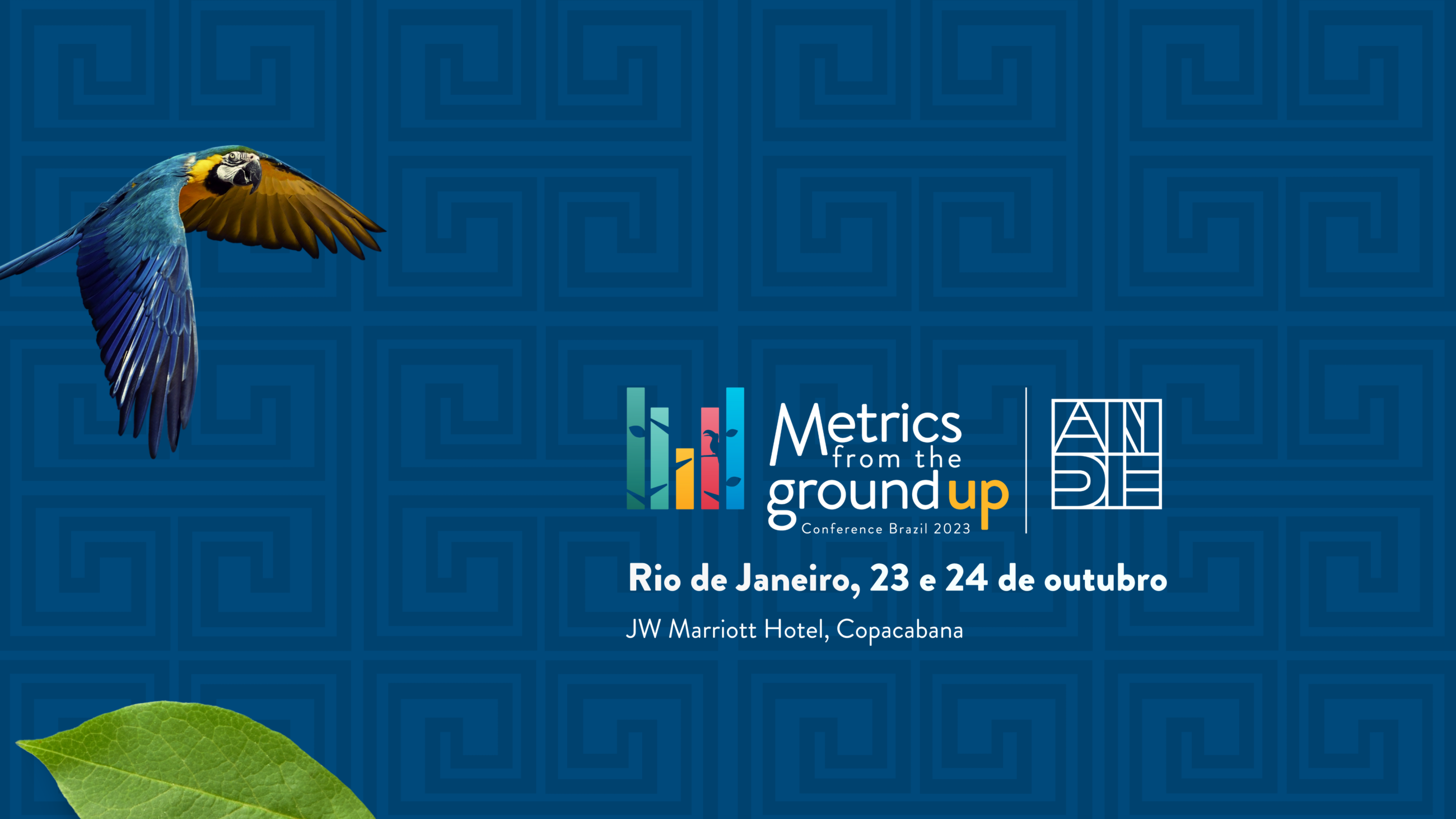 Grupo Analyses  Rio de Janeiro RJ