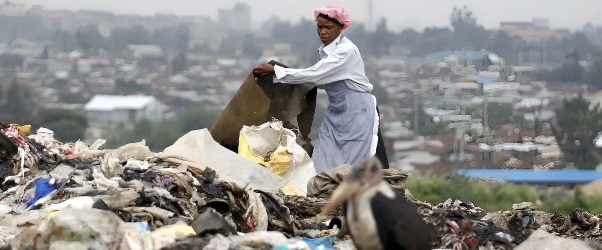 A man moves garbage on a waste landfill, and a blackbird stays in the front.