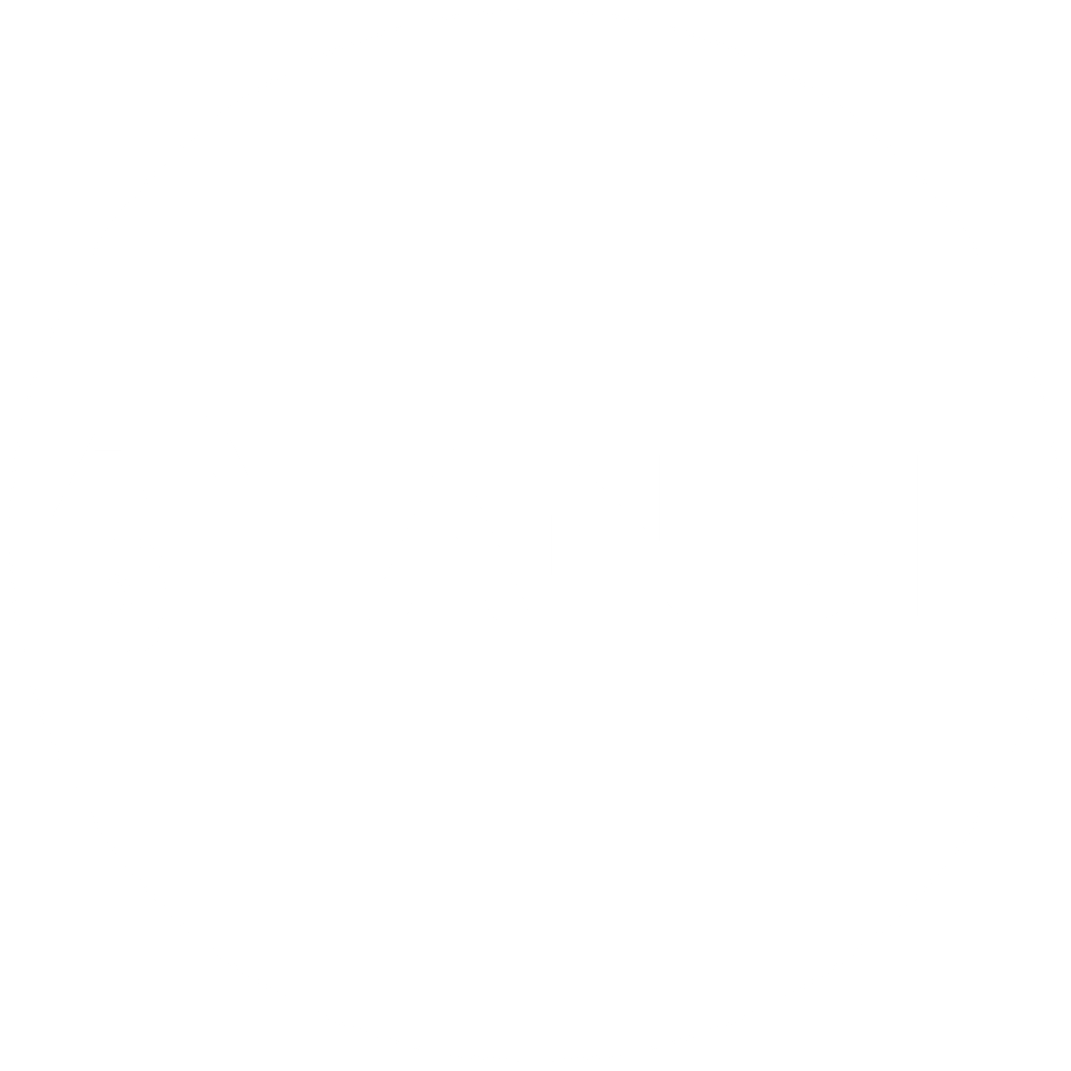 ANDE Logo circle white