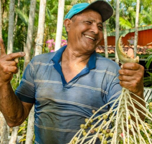 Smiling Farmer With Açaí Berries In Belém, Brazil (516 X 490 Px) Smiling Farmer With Açaí Berries In Belém, Brazil.