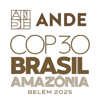 ANDE COP30 Logo in ochre color