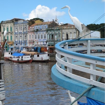 Marina at Belem, By XaviFerrando From Getty Images