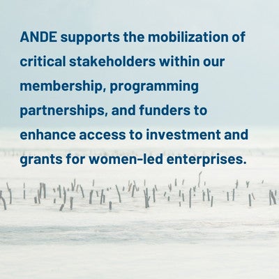 Square image with a background of the sea, and the text: ANDE supports the mobilization of critical stakeholders within our membership, programming partnerships, and funders to enhance access to investment and grants for women-led enterprises.