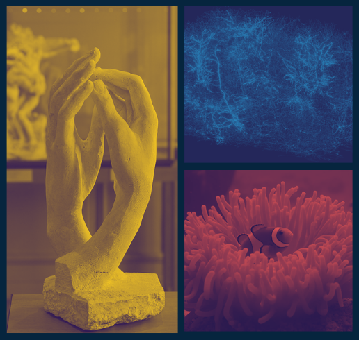 A three-image mosaic illustrating partnership through art, systems, and nature. On the left, Rodin’s pale stone sculpture *The Cathedral* shows two curved hands almost touching. At top right, a dense, multicolored neural network map glows against a black background. At bottom right, a bright orange clownfish rests among the soft tentacles of a sea anemone underwater. The composition is covered by three translucent panels: yellow, blue, red,