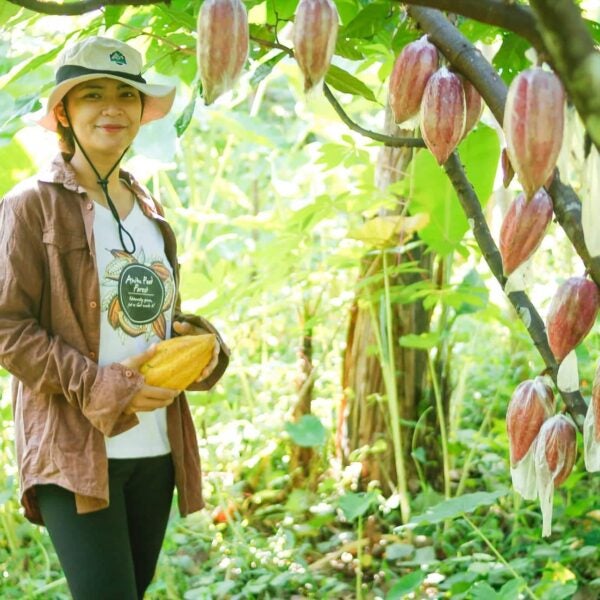 Anitu Chocolates 3 NatureNest