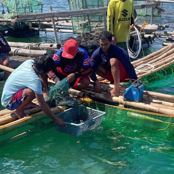 Sinaya Seafood 1 NatureNest