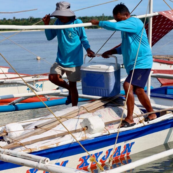 Sinaya Seafood 2 NatureNest