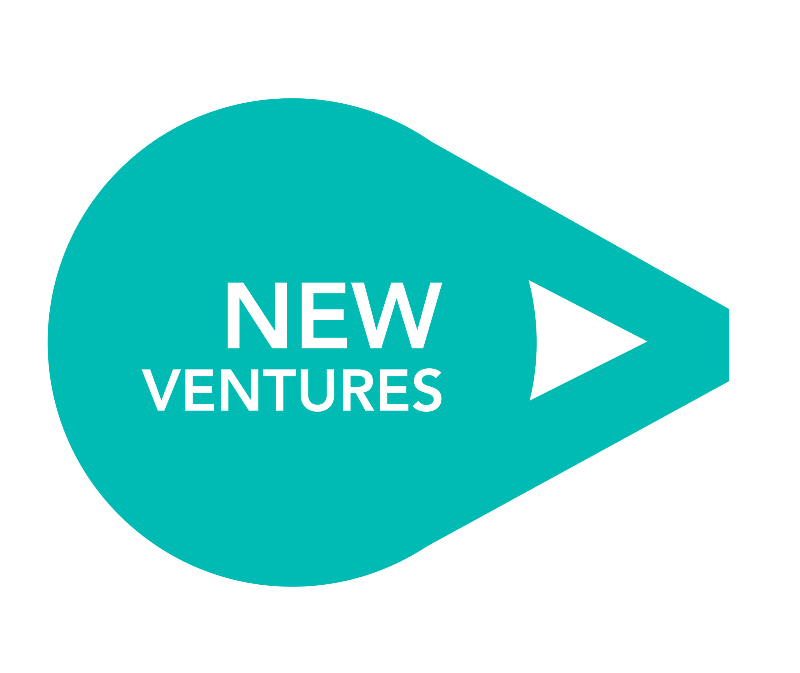 Logo New Ventures
